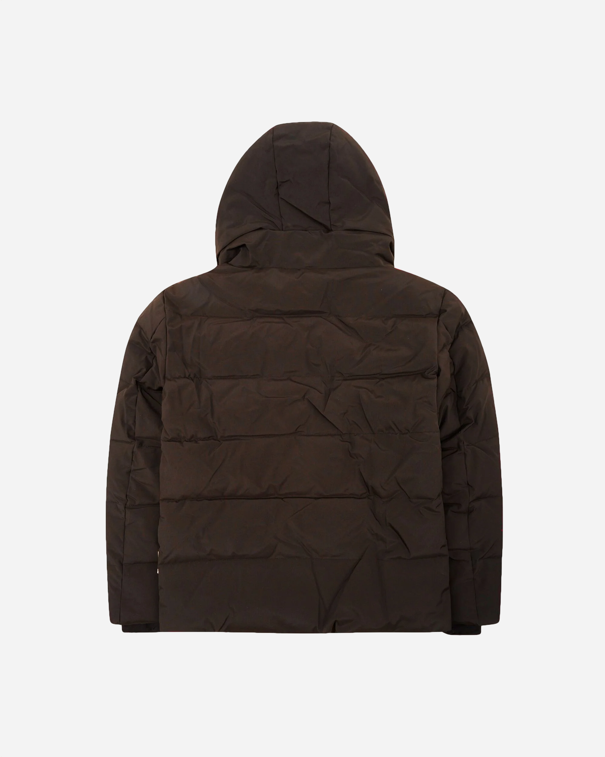 Joseph Tech Jacket - Dark Brown