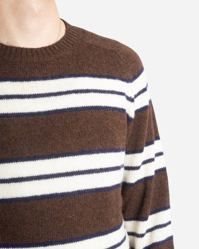 Nathan Stripe 6212 - Brown - Munk Store